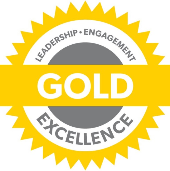 Gold Chapter Standards Medal - Leadership, Engagement, Excellence