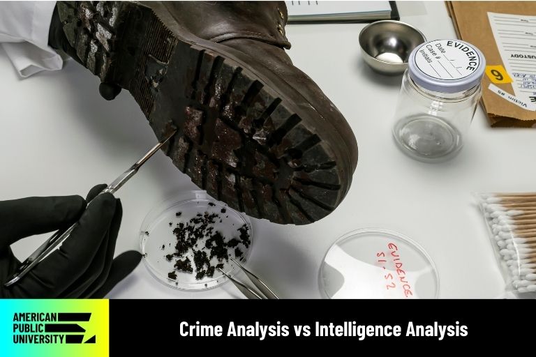 crime analyst examining evidence on bottom of shoe