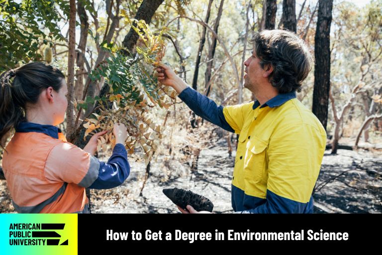how-to-get-a-degree-in-environmental-science environmental science professionals looking at tree