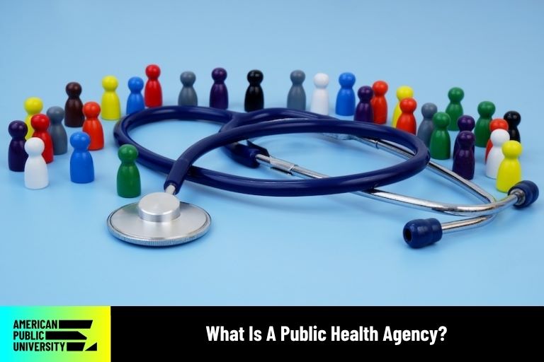 what is a public health agency