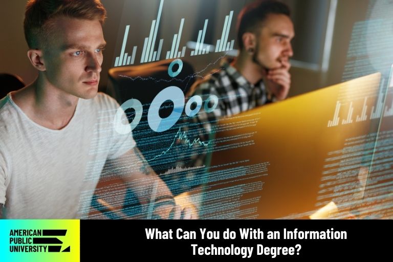 information technology professionals on computers