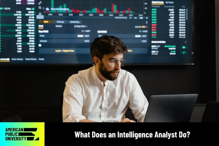 intelligence analyst typing on laptop