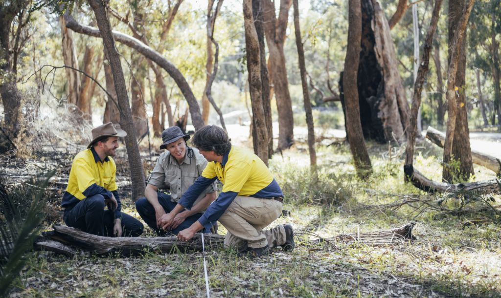 environmental scientists working together